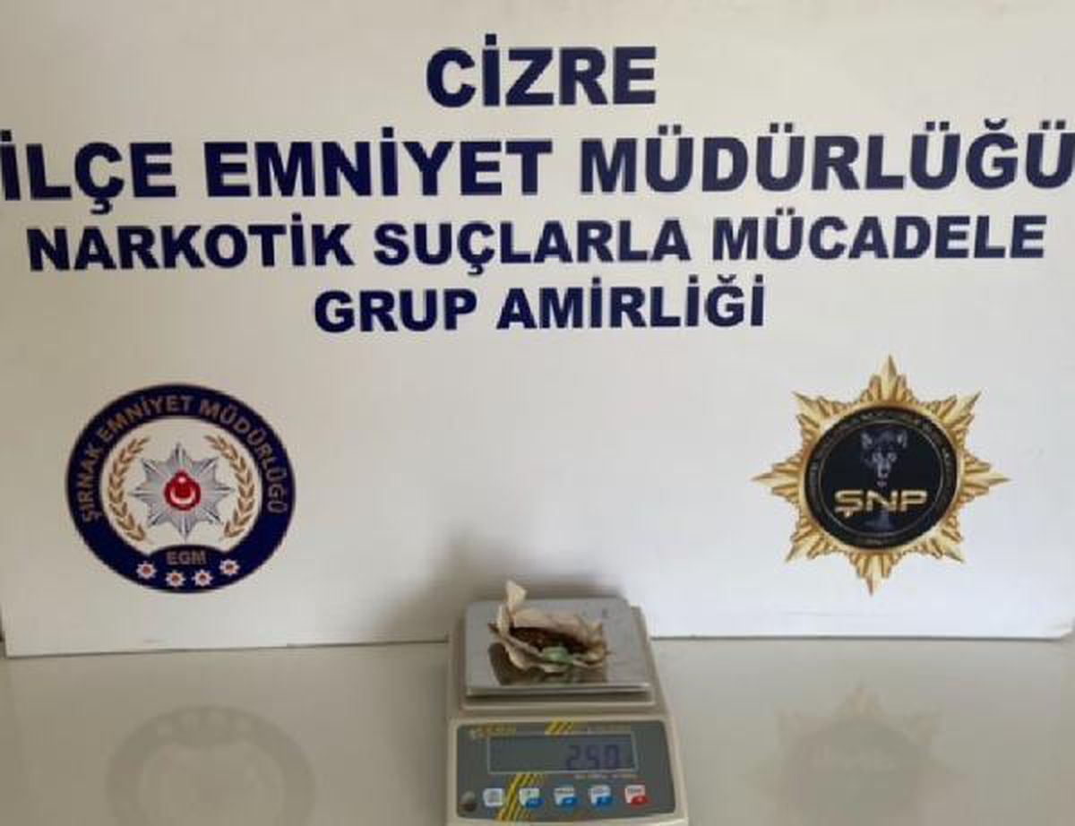 Son dakika haber... Şırnak\'ta kaçakçılık ve asayiş operasyonları: 48 gözaltı