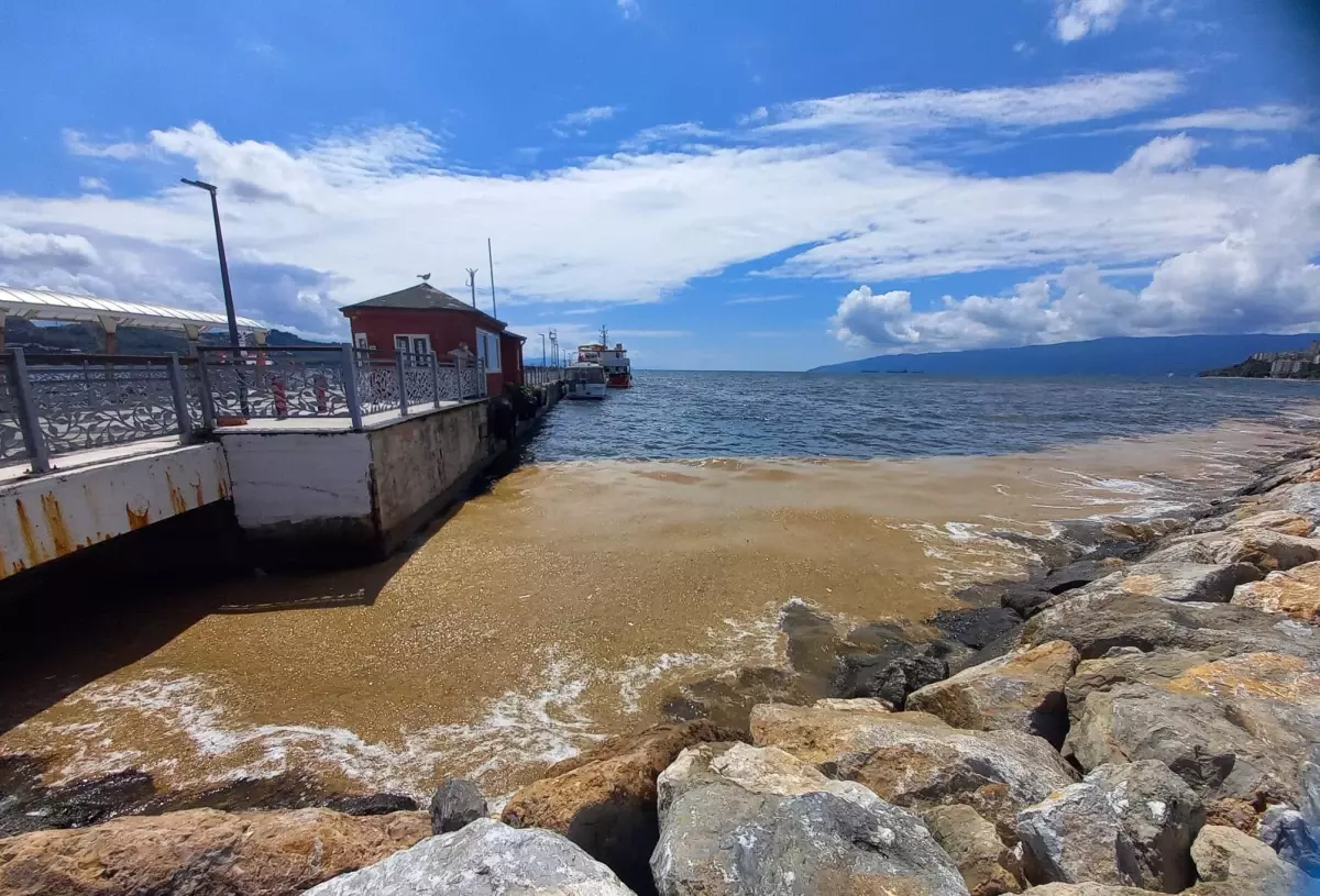 Gemlik Körfezi\'nde deniz salyası kıyı bölgelerde yoğunlaştı