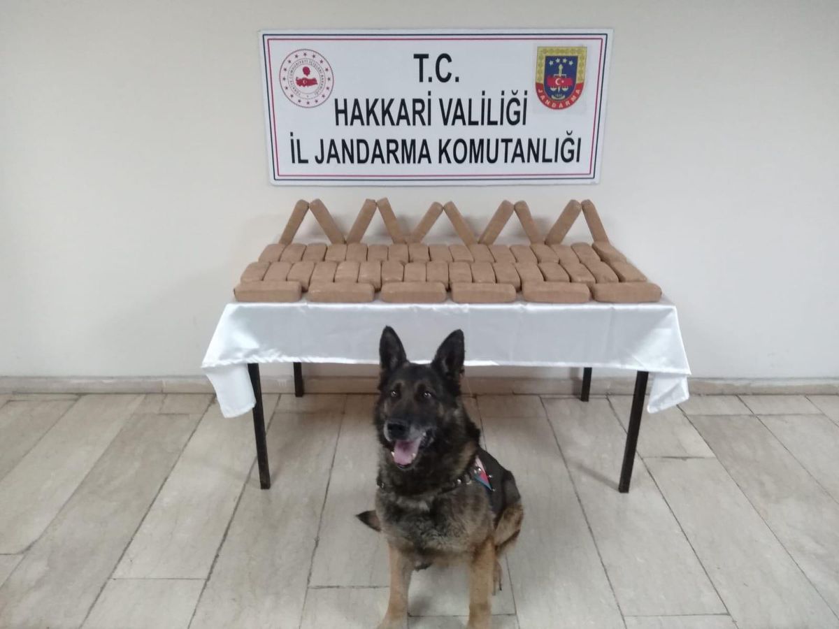Hakkari\'de toprağa gömülü 25 kilogram eroin ele geçirildi