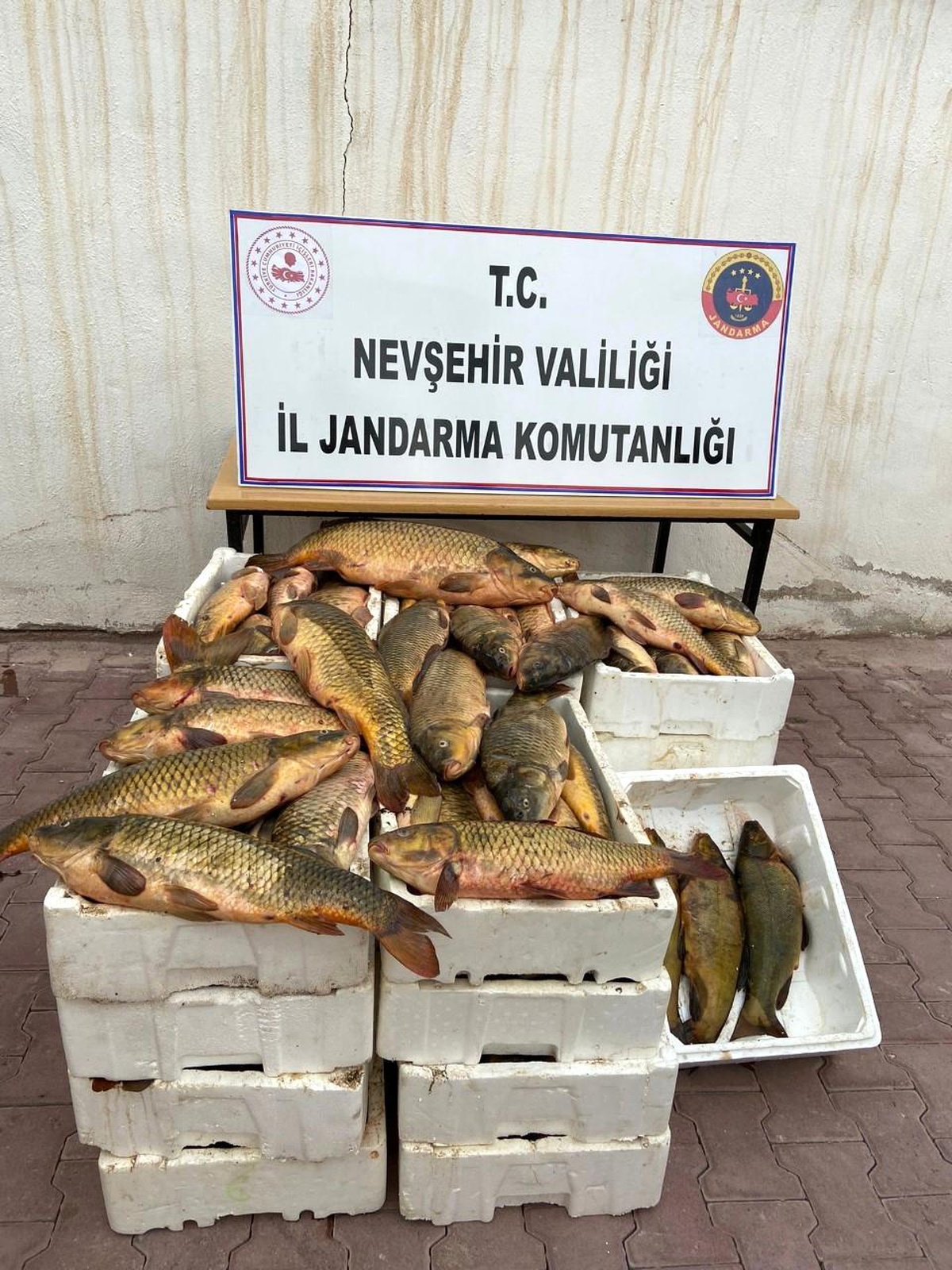 Kızılırmak\'tan kaçak balık tutan şüpheli yakalandı