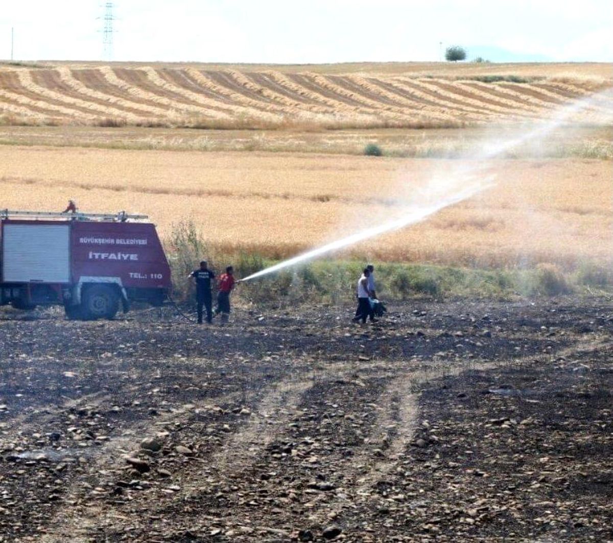 Sigara izmariti buğday tarlasını küle çevirdi
