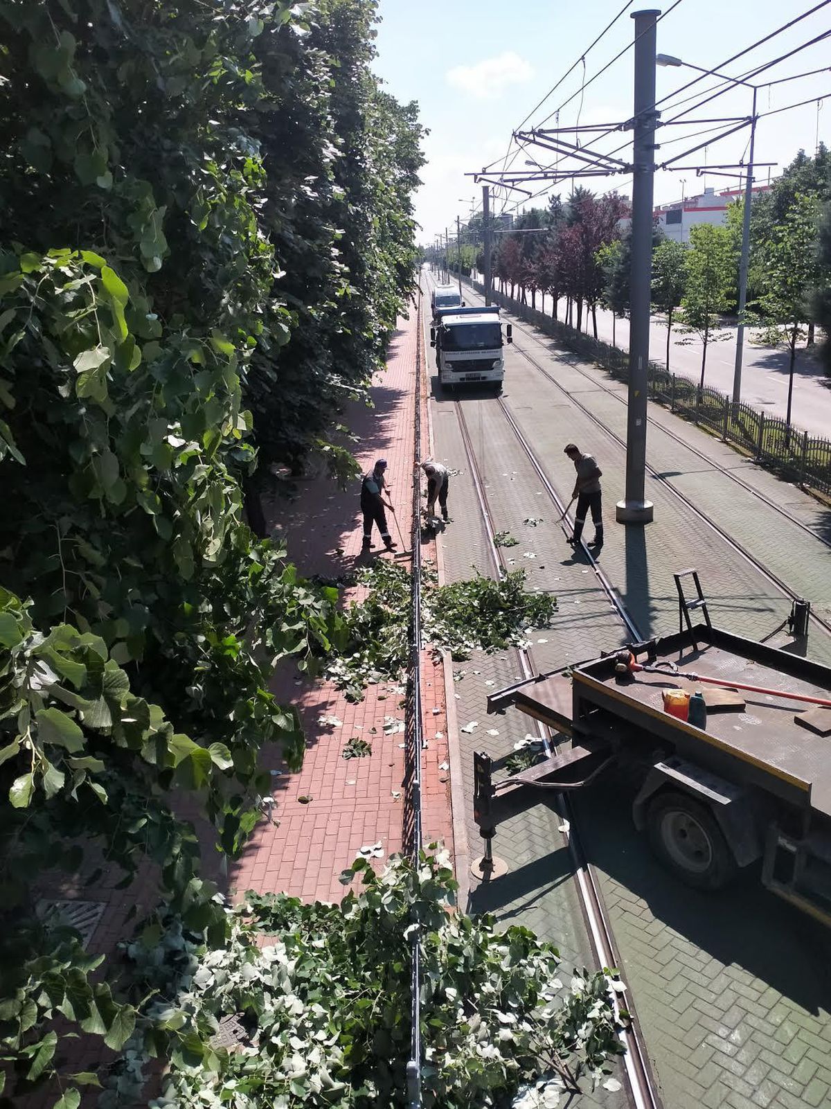 Tramvay hattına zarar verebilecek dallar budandı