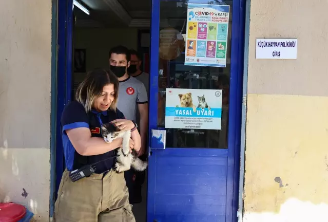 Yangında kurtarılan kediyi İzmir itfaiyesi sahiplendi