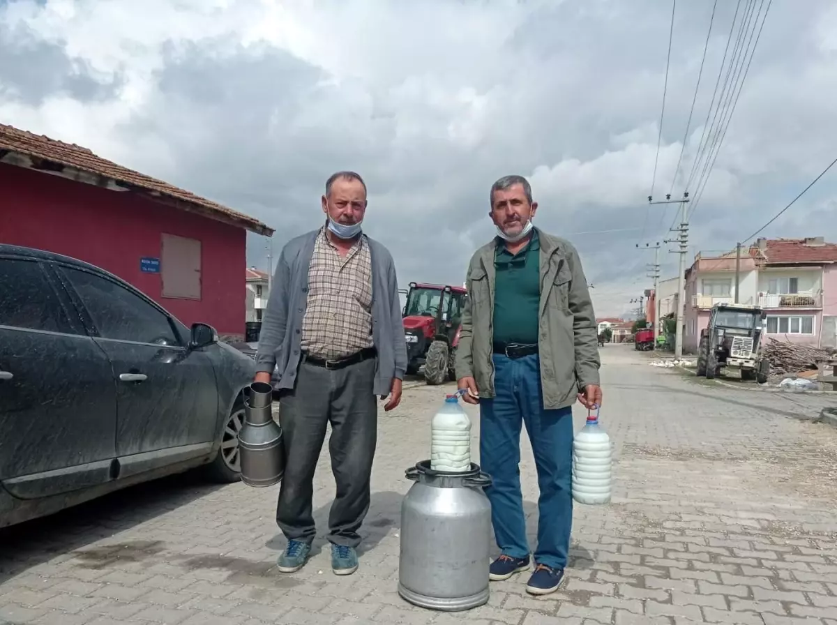 Yem fiyatlarındaki artış süt üreticilerini endişelendiriyor