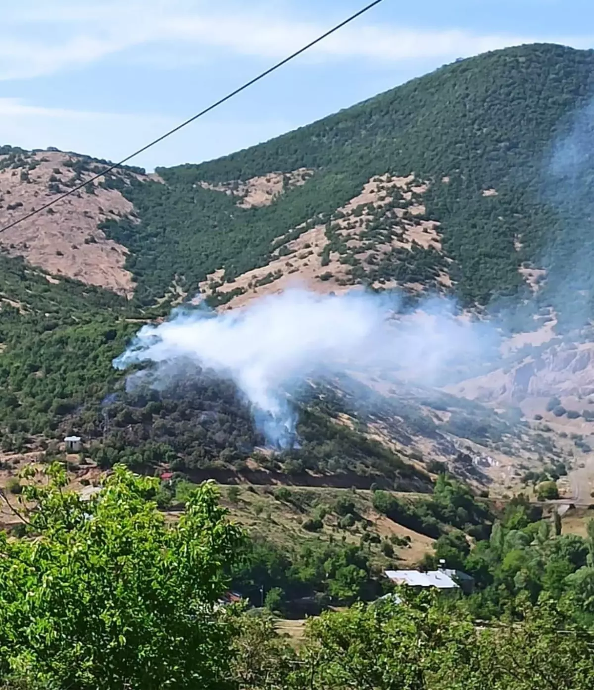 Bingöl\'de çıkan orman yangınları büyümeden söndürüldü