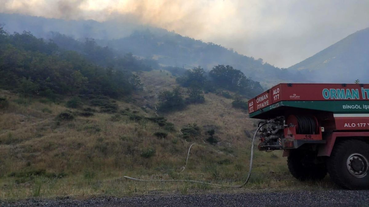 Bingöl\'de iki köyde çıkan orman yangını büyümeden söndürüldü