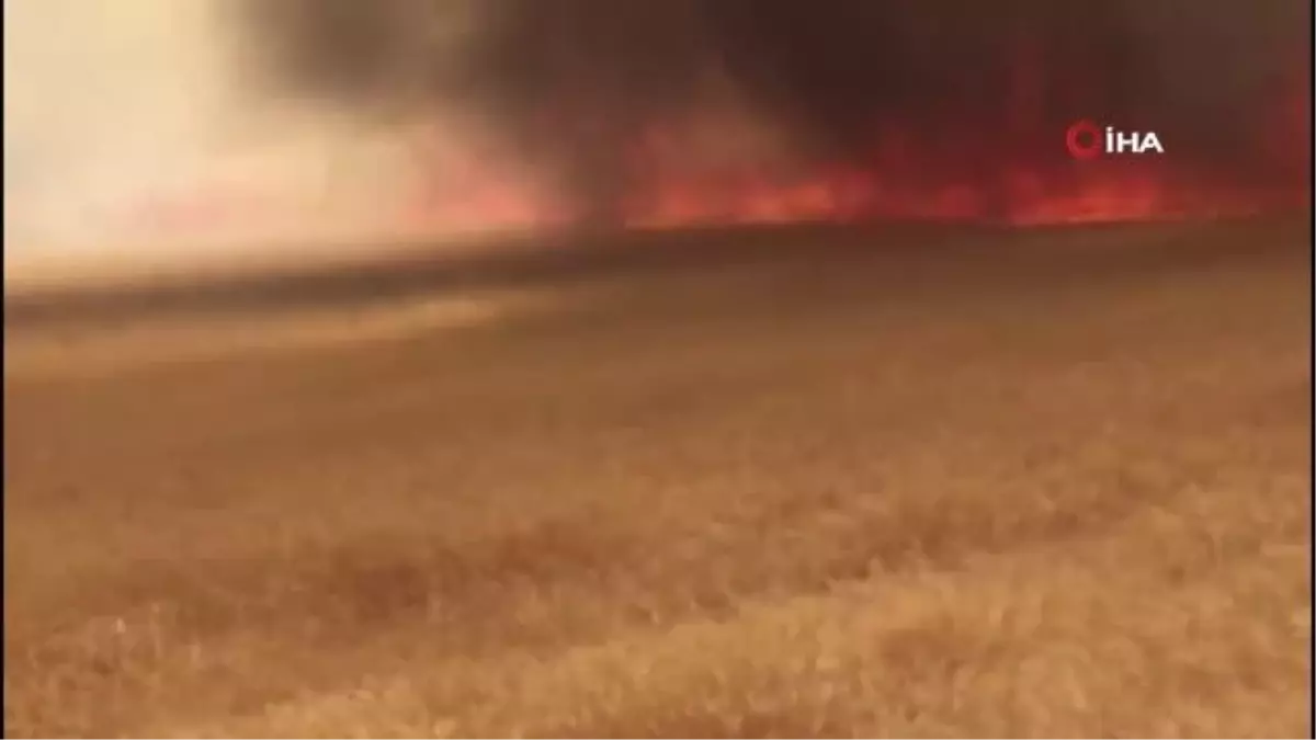 Ekili alan yangınları arttı, itfaiye müdürü uyardı