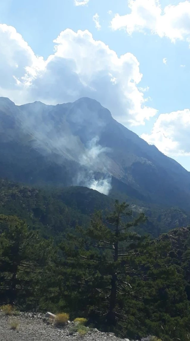 Fethiye'de çıkan orman yangınında 5 dekarlık alan zarar gördü
