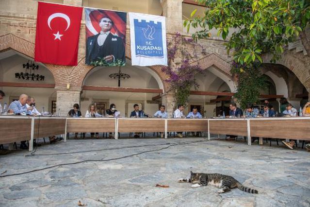 Hayvan severleri mutlu eden karar: Evcil hayvan satışı Kuşadası'nda yasaklandı!