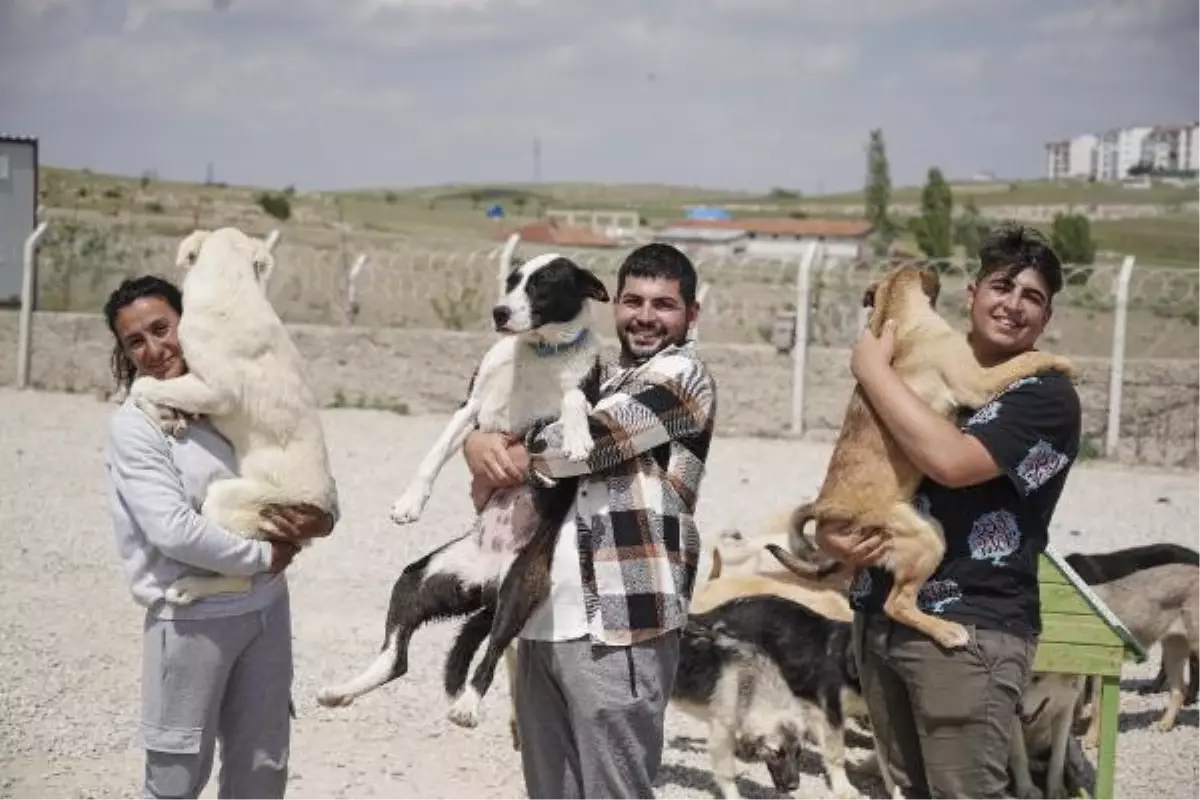 Son dakika haberi: Liseli Berzan, sokak köpeklerine yuva kurdu