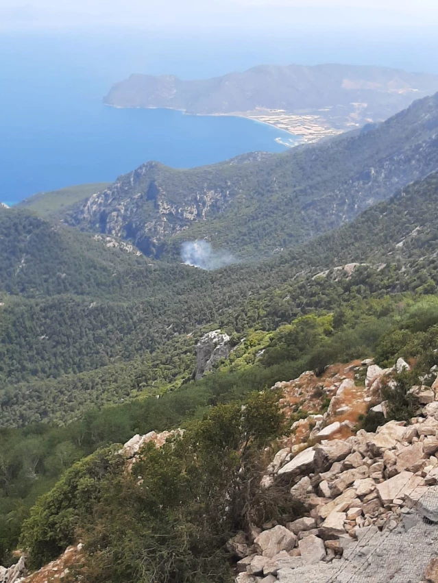 Muğla'da çıkan orman yangınında 3 dekarlık alan zarar gördü