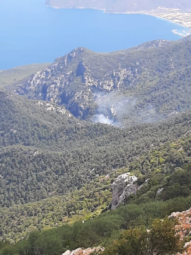 Muğla'da çıkan orman yangınında 3 dekarlık alan zarar gördü