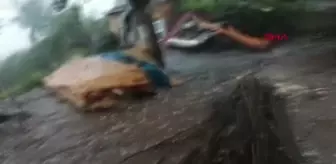 Ordu'ya ceviz büyüklüğünde dolu yağdı