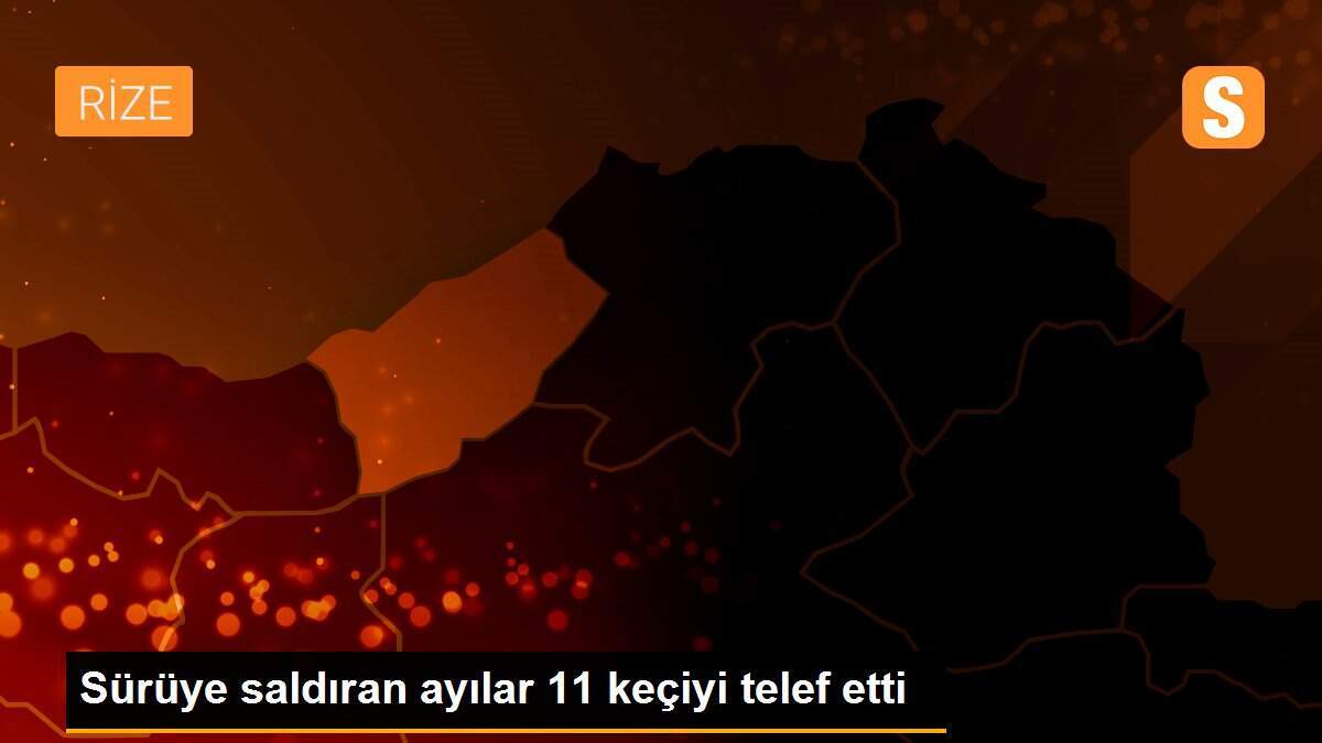Sürüye saldıran ayılar 11 keçiyi telef etti
