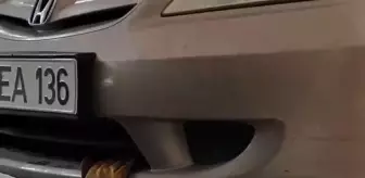 Aracın motor kısmına giren yavru kedi sanayide kurtarıldı