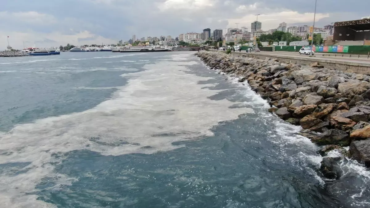 Bostancı Sahili\'nde deniz salyası yoğunluğu su altı kamerasıyla görüntülendi