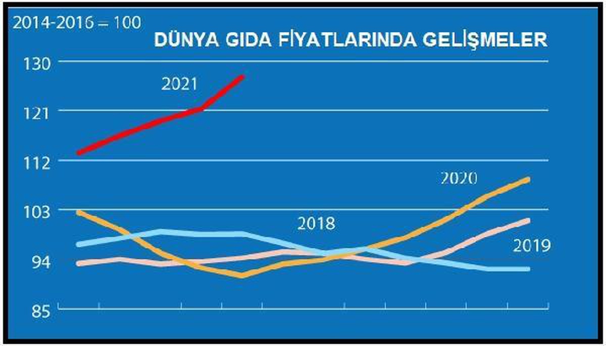 Dünya gıda fiyatları Mayıs\'ta aylık yüzde 4.8 yükseldi