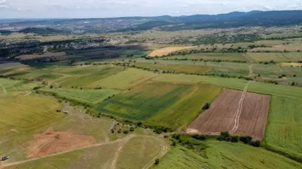 Edirne'de yağışlar çiftçiyi sevindirdi