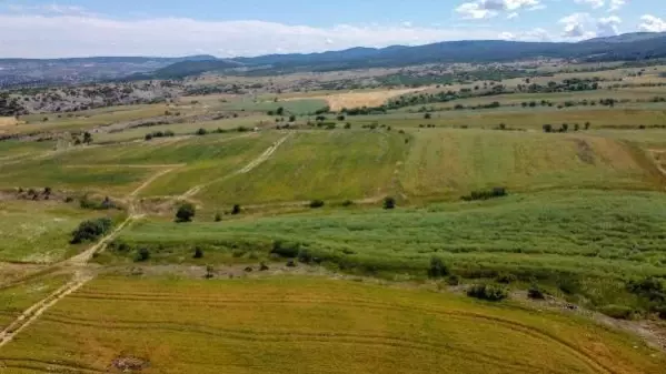 Edirne'de yağışlar çiftçiyi sevindirdi