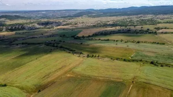 Edirne'de yağışlar çiftçiyi sevindirdi