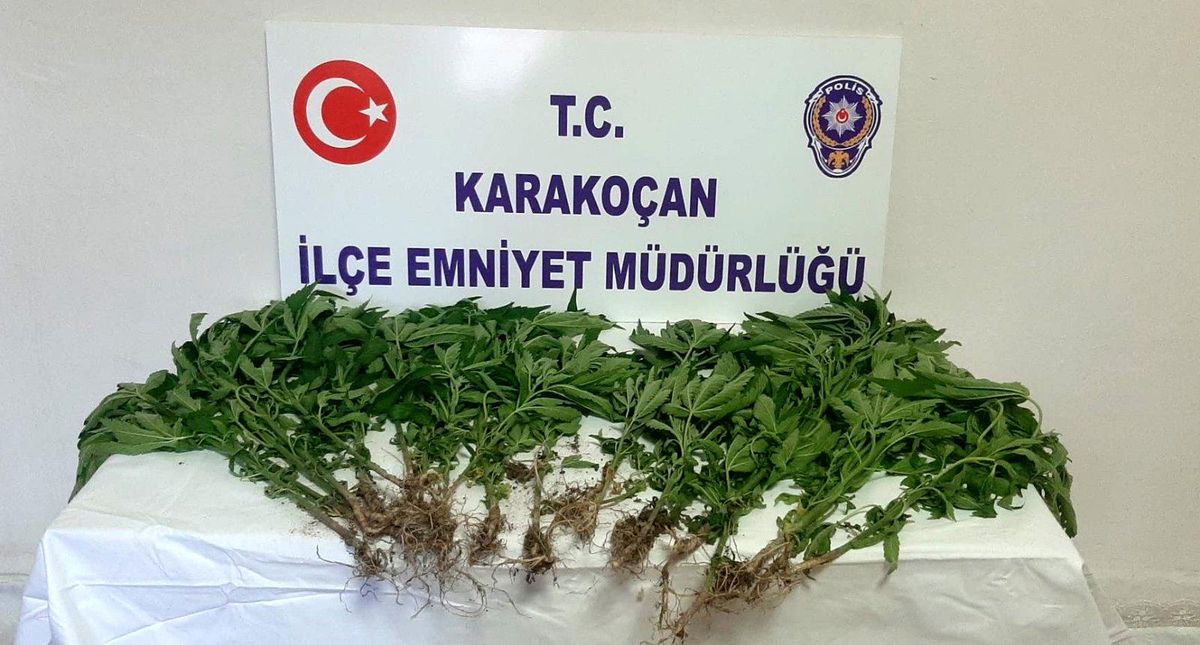Elazığ\'da uyuşturucu ile mücadele : 1 gözaltı