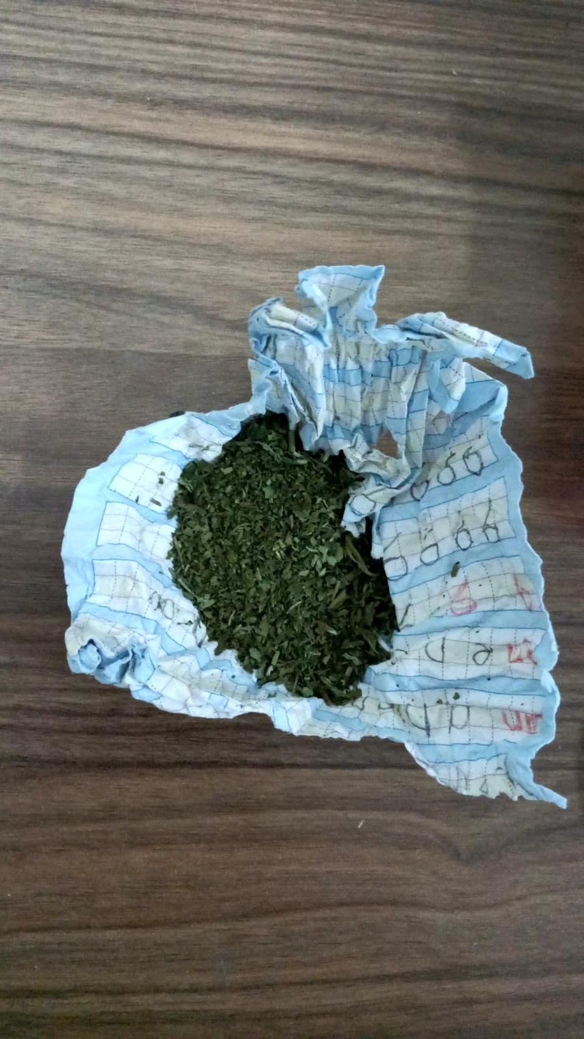 Evinin bahçesinde uyuşturucu yetiştiren kişiye polis baskını