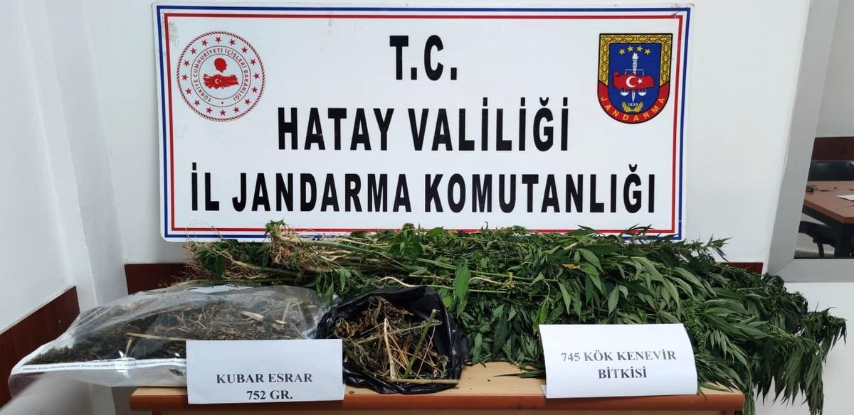 Son dakika haberi: Hatay\'da kenevir operasyonu
