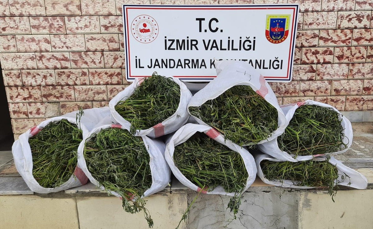 İzmir\'de 27 kilogram esrar ve 756 kök Hint keneviri ele geçirildi