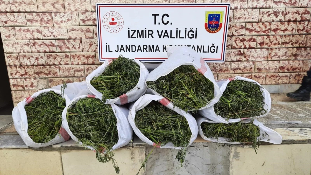 Son dakika: İzmir\'de 5 ilçede uyuşturucu operasyonları: 6 gözaltı