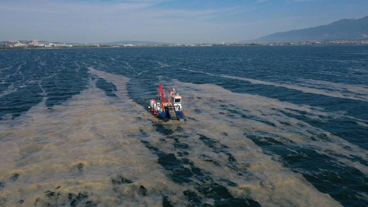 İzmit Körfezi\'nden 2 ayda 150 ton deniz salyası toplandı