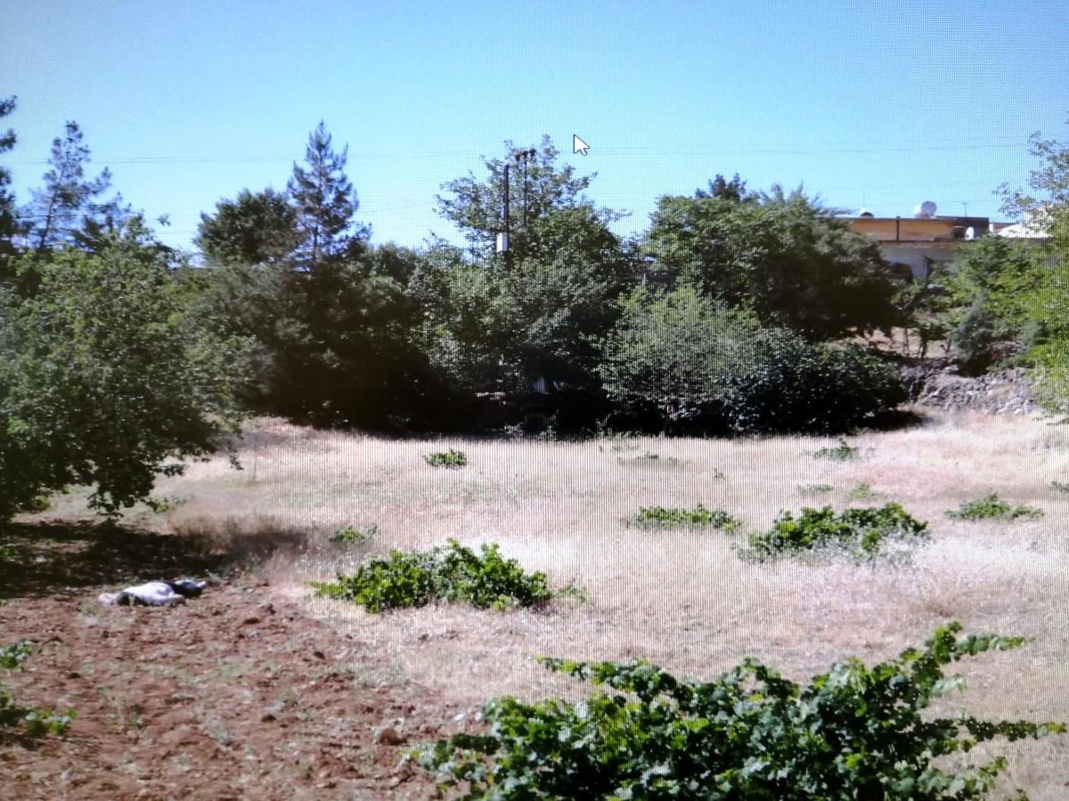 Mardin\'de boş arazide erkek cesedi bulundu