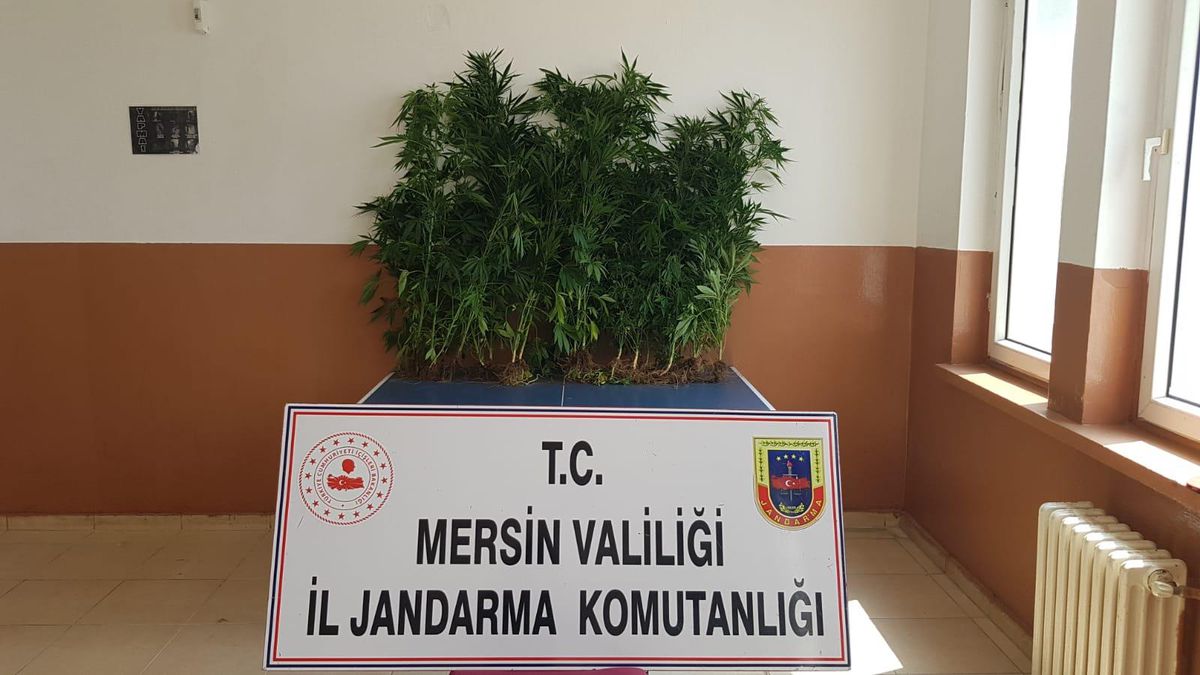 Mersin\'de uyuşturucu operasyonunda 5 şüpheli yakalandı