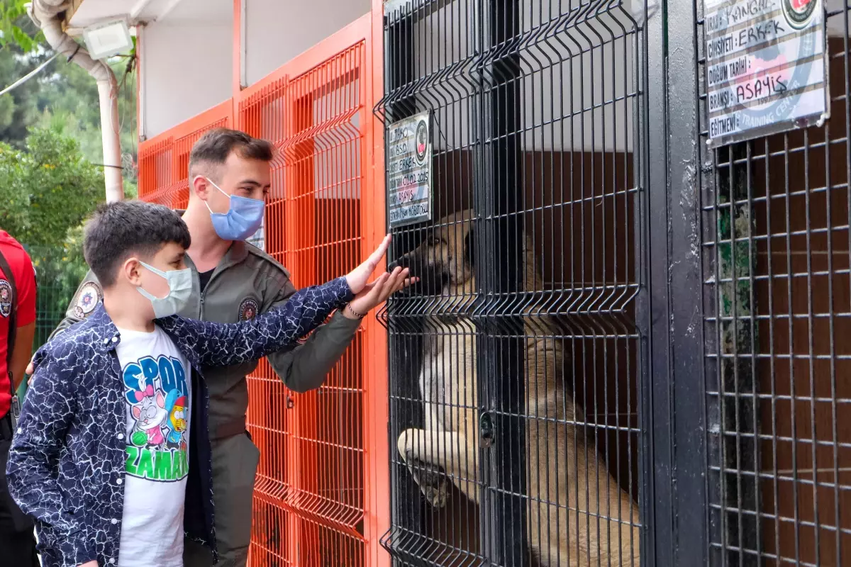 Polis köpekleriyle vakit geçirmek isteyen öğrencinin dileğini Emniyet Müdürü yerine getirdi