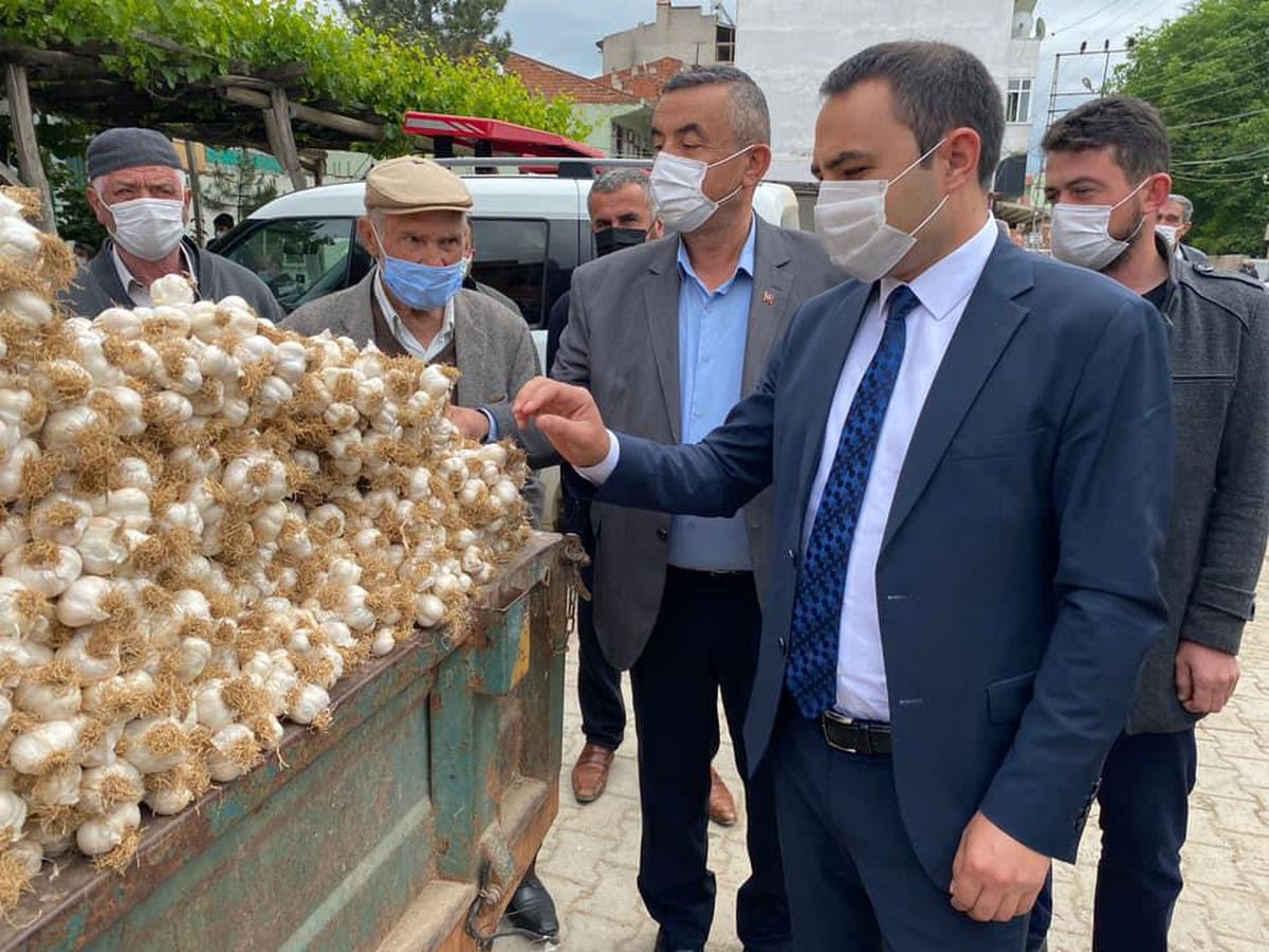 Taşköprü sarımsağını korumak için ilçede temmuza kadar sarımsak pazarı kurulmayacak