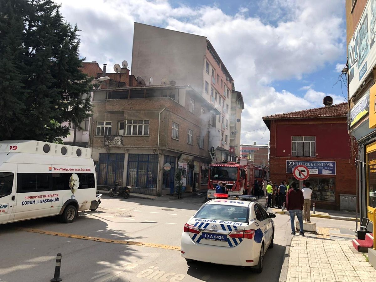 Son dakika haber! Yangında mahsur kalan kedileri itfaiye kurtardı