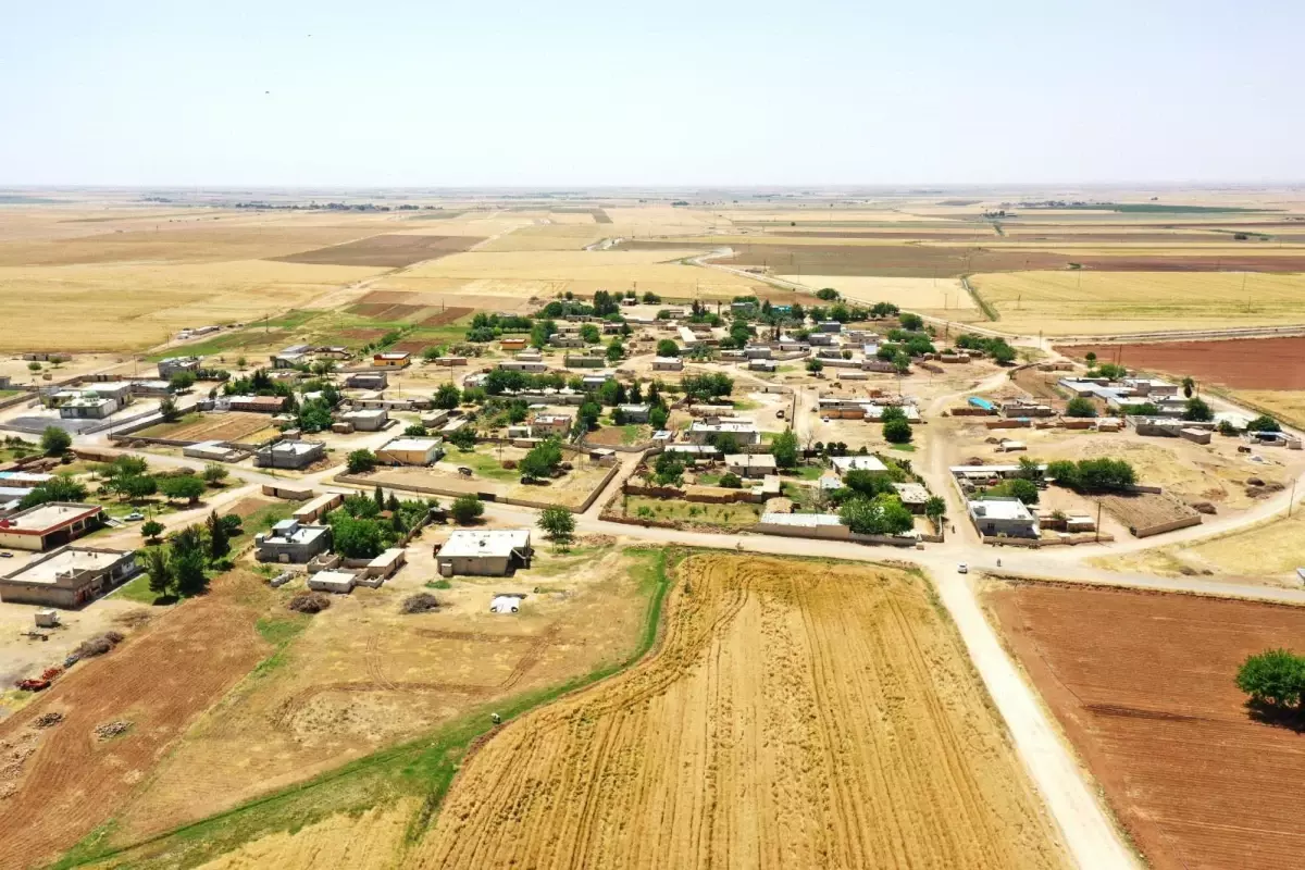 Akçakale Belediyesi kırsal mahallelerde üst yapı çalışmalarını aralıksız sürdürüyor