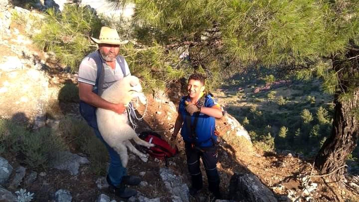 Dağlık alanda mahsur kalan kuzu kurtarıldı