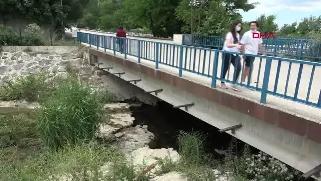 EDİRNE'DE DERELERİN DEBİSİNİN ARTMASIYLA SU KAPLUMBAĞALARI ÇOĞALDI