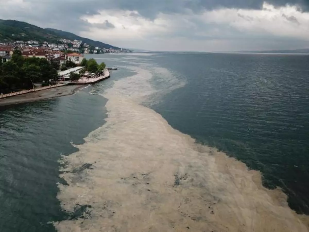 Son dakika haberleri... GEBZE TEKNİK ÜNİVERSİTESİ\'NDEN MÜSİLAJ İÇİN \'ÇEVRESEL KOŞUL\' ARAŞTIRMASI