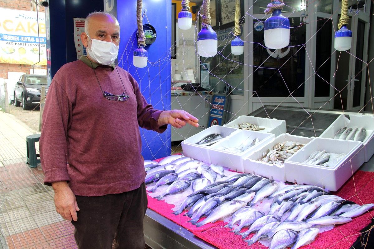 Hırsız martılar bezdirdi, balık satıcıları böyle önlem aldı