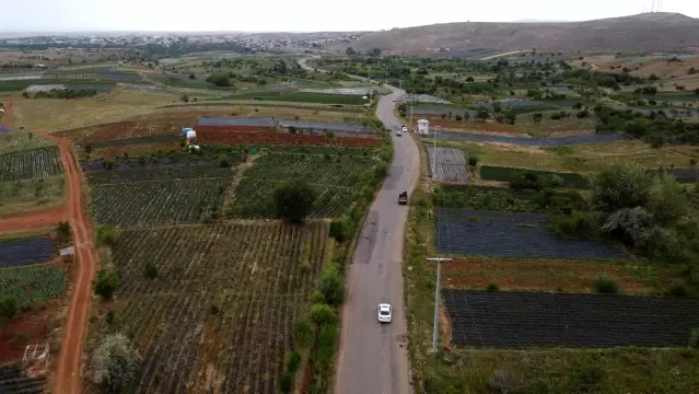 Konya'da üreticiler coğrafi tescilli çileğin alım fiyatının düşmesine tepkili