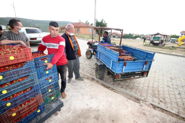 Konya'da üreticiler coğrafi tescilli çileğin alım fiyatının düşmesine tepkili