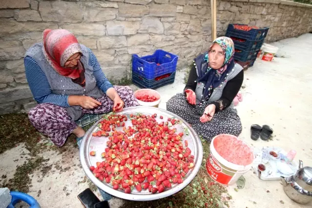 Konya'da üreticiler coğrafi tescilli çileğin alım fiyatının düşmesine tepkili