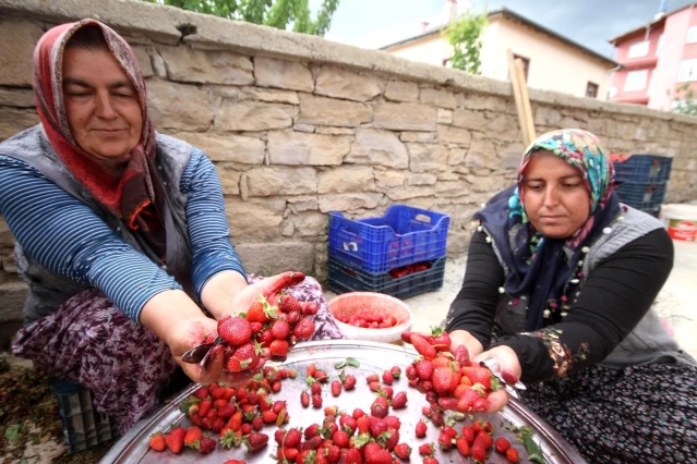 Konya'da üreticiler coğrafi tescilli çileğin alım fiyatının düşmesine tepkili