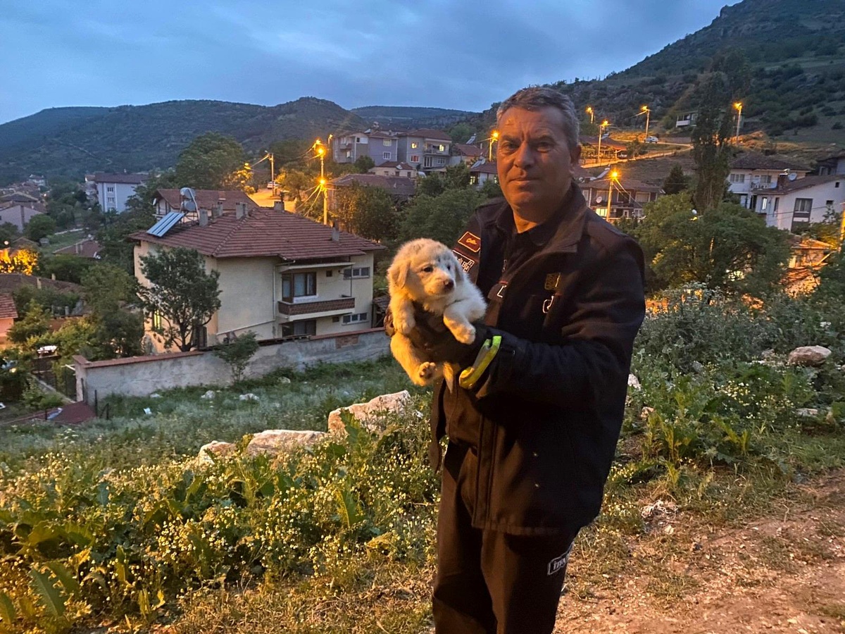 Otomobilin motor ile ön tekerleği arasına sıkışan yavru köpek kurtarıldı