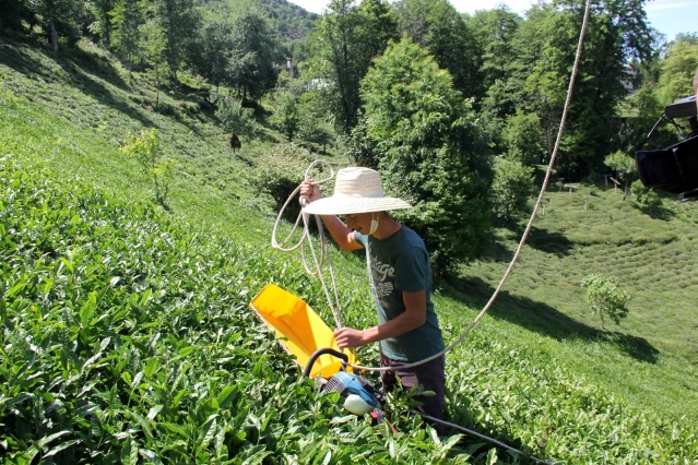 Rizeli genç kıvrak zekası ile çay toplamayı kolaylaştırdı