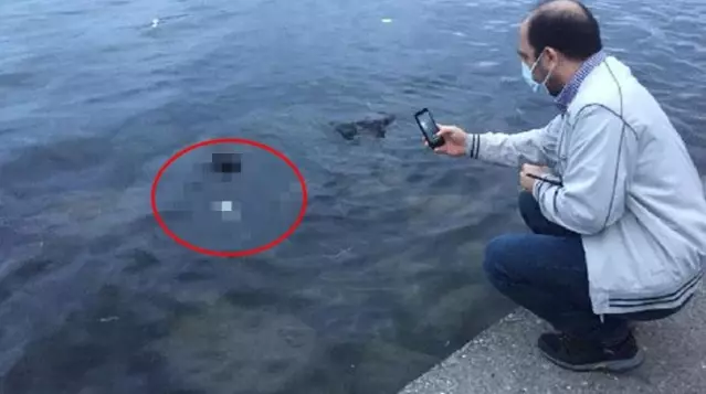 Samsun'da denizde cenin bulundu Samsun'da denizde cenin bulundu