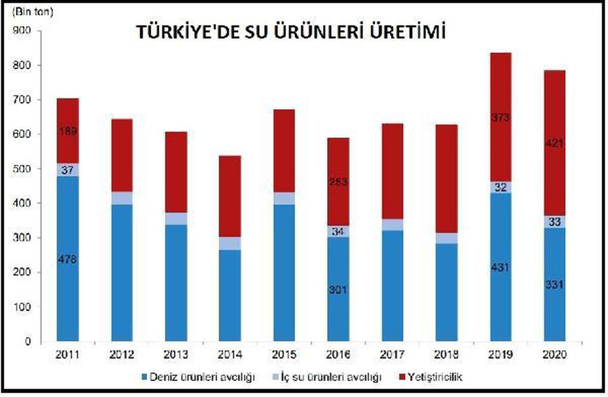 Su ürünleri üretimi 2020 yılında yüzde 6.1 azaldı