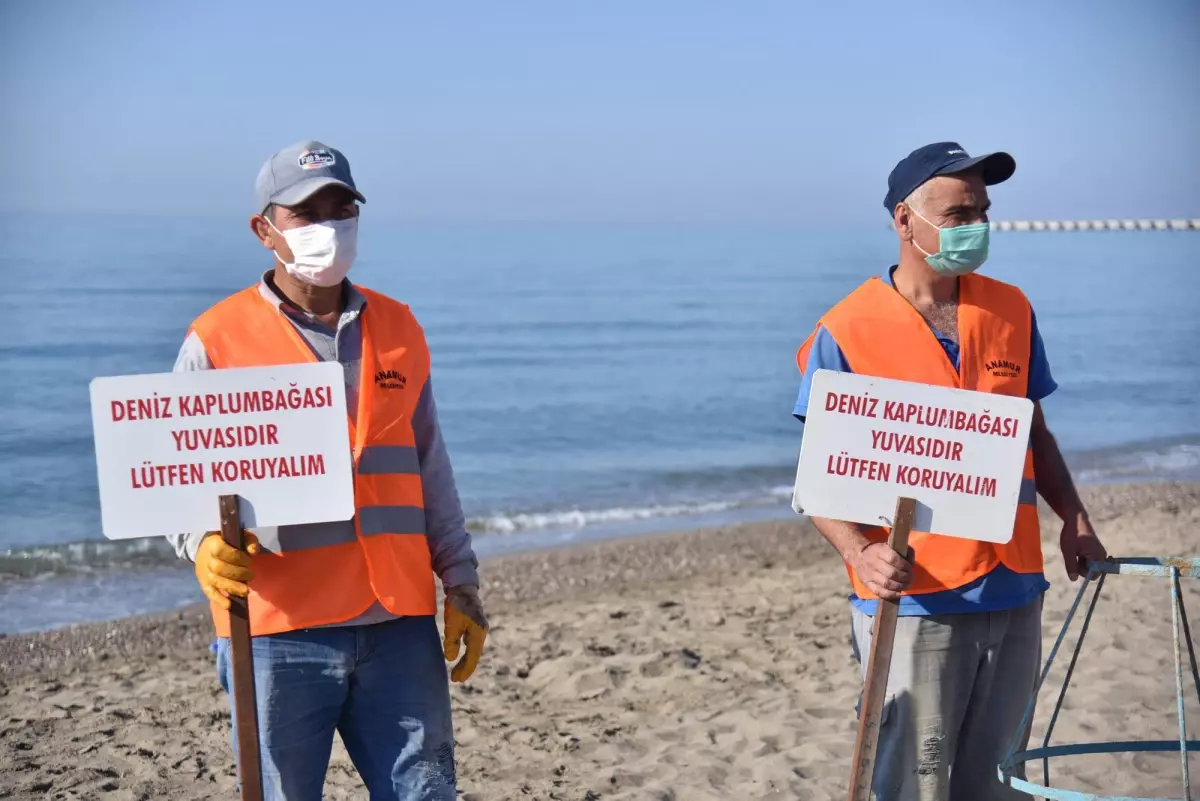 Anamur sahiline anaç deniz kaplumbağaları için uyarı levhaları konuldu