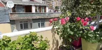 Balkonunu çiçek bahçesine çeviren kanser hastası, yarışmada 1'inci oldu